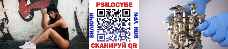 как найти   Новочебоксарск  Галлюциногенные грибы Magic Shrooms 